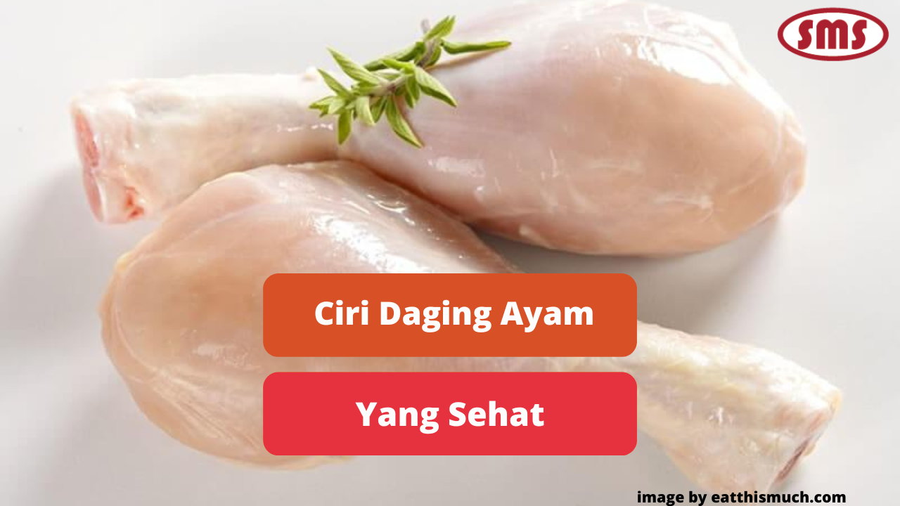 Ketahui Ciri Daging Ayam Sehat Yang Aman Dikonsumsi